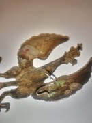 Orzełek do identyfikacji 