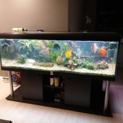 Akwarium 960l Z kompletnym wyposażeniem Ryby i inn