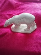 Niedźwiedź polarny 