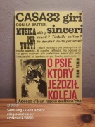 roman pisarski - o psie który jeździł koleją (ilustracje rozwadowski, 1973)