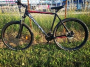 Indiana x-pulser 2.9 M23