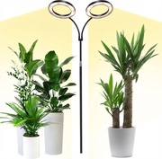 Lampa LED do Roślin Full Spectrum 2 Głowice (Ring) + Pilot i Timer