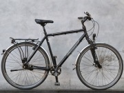 wygodny urban cruiser STEPPENWOLF alu ALFINE 8