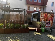 Przyczepa do sprzedaży lodów