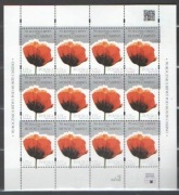 ARK . 4528 **  70 rocznica bitwy o Monte Cassino