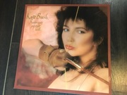 Winyl: KATE BUSH - Running Up That Hill