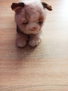 CU-Mate pluszowy kot