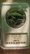20zł.2004r.-Morświn.-PR70