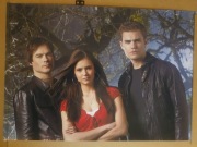 Plakat The Vampire Diaries Pamiętniki wampirów A3 30x42