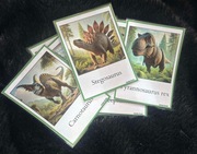 Karty edukacyjne – dinozaury | 16 kart A6 dla dzieci