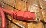 Kabel LAN sieciowy patchcord skrętka UTP 2 m MOLEX
