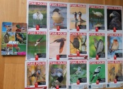 Ptaki polskie. Segregator 15 zeszytów.