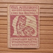 Vogel Mitteleuropas von Otto Fehringer Ptaki Europy Środkowej