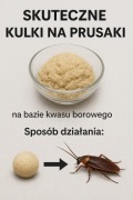 Gotowa Masa na Kulki Przeciw Prusakom i Karaluchom – 150g