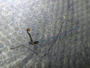 Zestaw anten z modułem | Oryginał | Xiaomi 12X