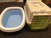 Zwierzeta koty kuweta