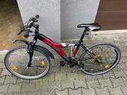 ROWER Winora ATB POLECAM