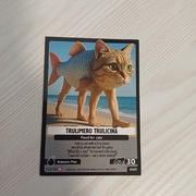 Karta Skifidol Italian Brainrot Panini 112