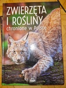 Zwierzęta i rośliny chronione w Polsce