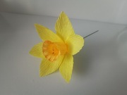 Narcyz kwiaty z krepiny