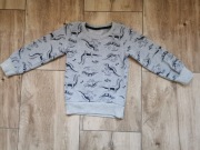 Ocieplana bluza z dunozaurami