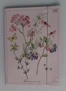 Teczka tekturowa A4 z gumką