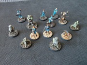 Fallout:Wasteland Warfare - Survivors & Unaligned