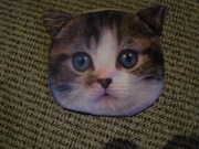 zestaw: plecaki, torebki, saszetki, portfele