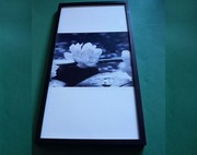 Piękny obraz „Kwiat jabłoni„ grafika 62x32 cm