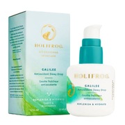 HoliFrog Galilee Antioxidant Dewy Drop 50ml