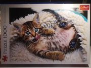 Puzzle 1000 Trefl Cudny kotek 