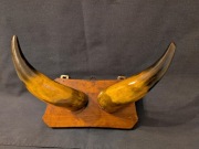 Vintage Wieszak Ścienny – Polerowane Rogi – Design PRL/Lata 80.