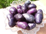 Fioletowe Ziemniaki BLUE CONGO 1kg