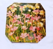 Pocztówka dźwiękowa ABBA. Bobby's Brothers. I'm Just a Girl. KAW,1977