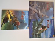 Kagero.Monografia Curtiss P40 vol.1-3