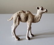 Schleich młody wielbłąd dromader figurka model wycofany z 2008 r.