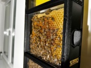 DOMOWY UL Obserwacyjny. Oryginalny! Nowoczesny! Dekoracyjny !