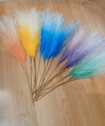 Kolorowa trawa pampasowa 20 sztuk 