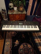 Casio CTK-3200 ze STATYWEM