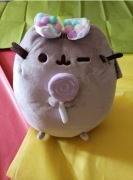 Pusheen z lizakiem rzadki 