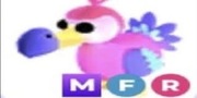 MFR Dodo "Adopt me" roblox 