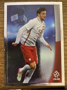 Naklejki Biedronka - Dumni z naszych 42