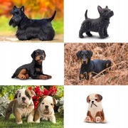 EYSCOTA Zestaw 12 Mini Figurek Psów Realistyczne Szczeniaki