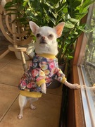 Ubranko w kwiaty dla psa - rozmiar S 
