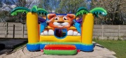 Dmuchaniec dmuchany zamek suchy basen na piłeczki ze zjeżdżalnią przeszkody