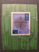 Polska blok 35 kasowany Walka z malarią 1962r nr 28 !!!