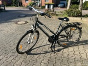 Rower Pegasus Piazza 28 Cali Rama 55Cm.