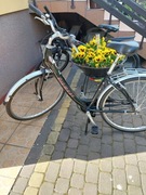 Markowe rowery 3 sztuki