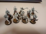 Warhammer 40k: Drukhari Kabalite Warriors