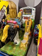 Western Shot koń bujak zarobkowy 100% sprawny